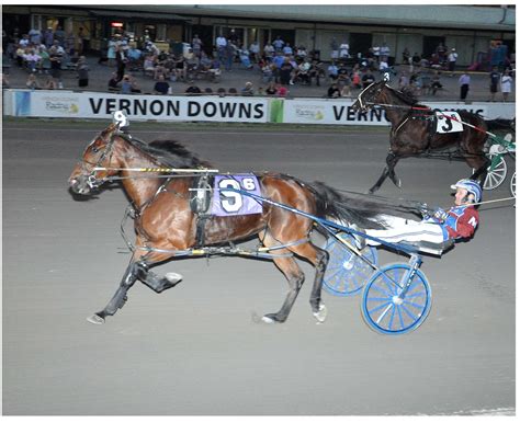 Vernon downs - AGM / Sr Director Facilities at Vernon Downs Casino and Hotel Utica-Rome Area. 200 followers 197 connections See your mutual connections. View mutual connections ...